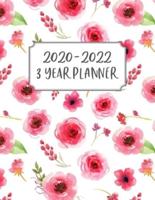 3 Year Planner