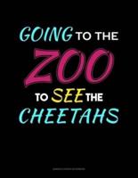 Going To The Zoo To See The Cheetahs