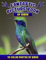 Fantastic Picture Book of Birds. 40 Color Photos of Birds