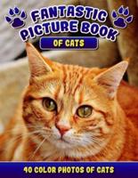 Fantastic Picture Book of Cats. 40 Color Photos of Cats