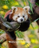 2020 Weekly and Monthly Planner