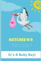 Hatched N 9