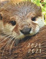 2020-2021 2 Year Planner Sea Otters Monthly Calendar Goals Agenda Schedule Organizer
