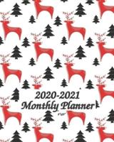 2020-2021 Monthly Planner 8"X10"