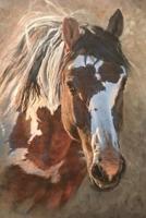 Wild Horse Journal