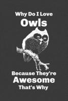 Why Do I Love Owls Because They're Awesome That's Why