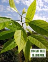 Avocado Tree Sketchbook