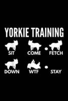 Yorkie Training Sit Come Fetch Down Wtf Stay