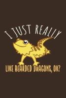 I Just Really Like Bearded Dragon, Ok?