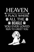 Heaven a Place Where All the Beagle You Ever Loved Run to Greet You