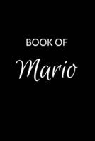 Mario Journal Notebook