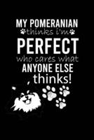 My Pomeranian Thinks I'm Perfect Who Cares What Anyone Else Thinks!