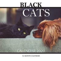 Black Cats Calendar 2020