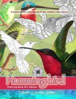 Humming Bird Coloring Book for Adults