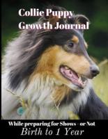 Collie Puppy Growth Journal