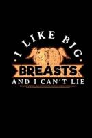I Like Big Breasts And I Cant Lie