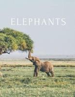 Elephants