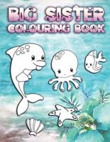 Big Sister Colouring Book