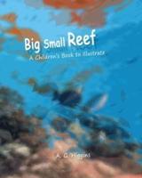 Big Small Reef