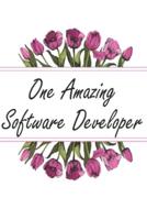 One Amazing Software Developer
