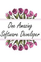 One Amazing Software Developer