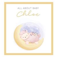 All About Baby Chloe