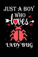 Just a Boy Who Loves Ladybug