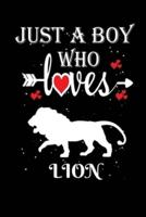 Just a Boy Who Loves Lion