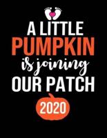 A Little Pumpkin Is Joining Our Patch 2020