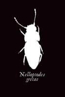 Nelloptodes Gretae Beetle Named After Greta Thunberg - Blank Ruled Journal