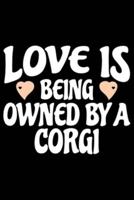 Love Is Being Owned By Corgi