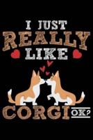 I Just Really Like Corgi Ok?