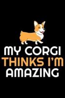 My Corgi Thinks I'm Amazing