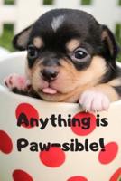 Anything Is Paw-Sible!