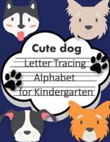 Trace Letters Alphabet for Kindergarten Child's Writing Muscles