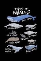 Types Of Whales Blue Whale Fin Whale Grey Whale Orca Whale Set Whale Narwhal Sperm Whale Beluga Humpback Whale Right Whale