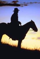 2020 Weekly Planner Horse Photo Equine Cowboy Sunset Silhouette 134 Pages