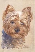 Yorkshire Terrier Dog Portrait Notebook