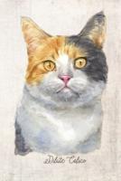 Dilute Calico Cat Portrait Notebook