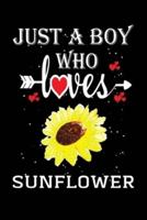 Just a Boy Who Loves Sunflower