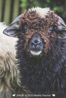 SHEEP! A 2020 Weekly Planner