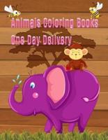 Animals Coloring Books One Day Delivery
