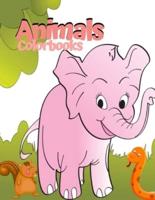 Animals Colorbooks