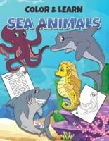 Color & Learn Sea Animals