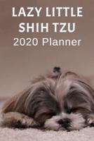 Lazy Little Shih Tzu