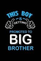 This Boy Is Getting Promoted to Big Brother
