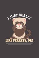 I Just Really Like Ferrets, Ok?
