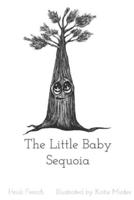 The Little Baby Sequoia