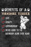 Benefits Of A Yorkshire Terrier