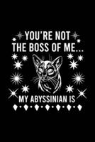 You're Not the Boss of Me... My Abyssinian Is